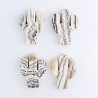 One Cactus Mexican Onyx/Calcite White Zebra 9 cm - Expert Wholesale and Supplier of Wholesale Crystals & Bulk Gemstones, ["Cactus","Calcite","Catalog Onyx","Mexico","onyx"]