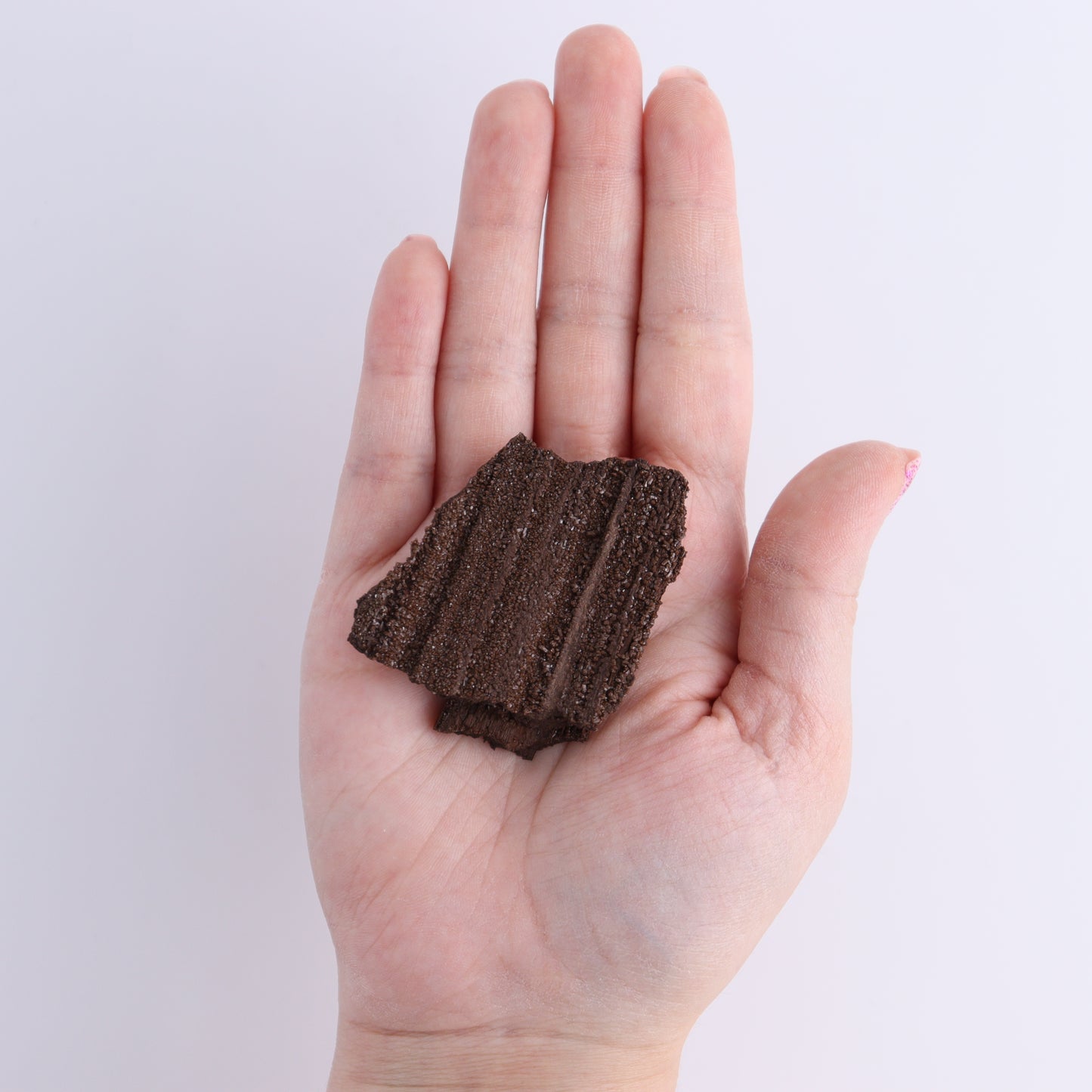 Permineralized Wood Flat of 24 - Expert Wholesale and Supplier of Wholesale Crystals & Bulk Gemstones, ["Flats","Germany","Permineralized Wood"]