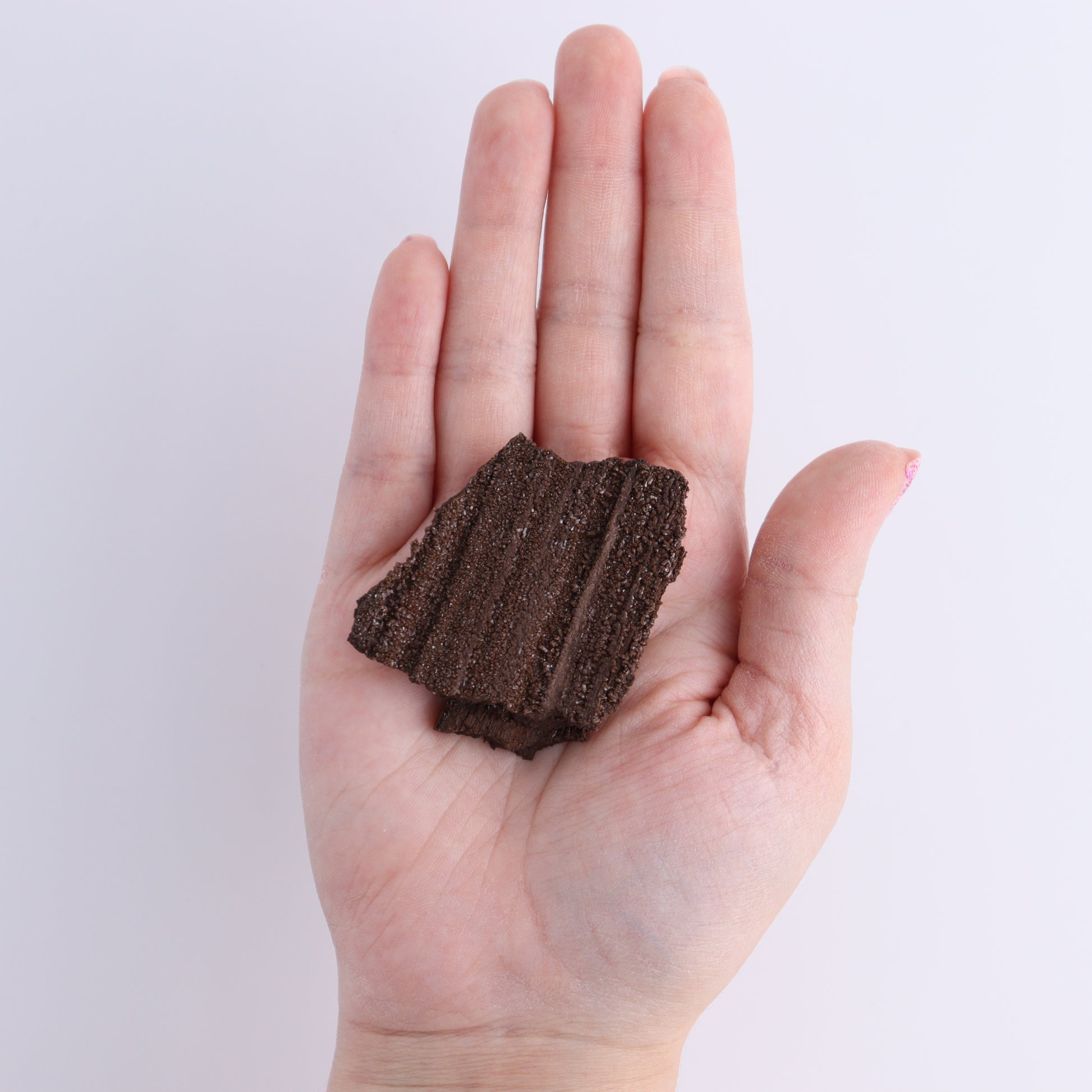 Permineralized Wood Flat of 24 - Expert Wholesale and Supplier of Wholesale Crystals & Bulk Gemstones, ["Flats","Germany","Permineralized Wood"]