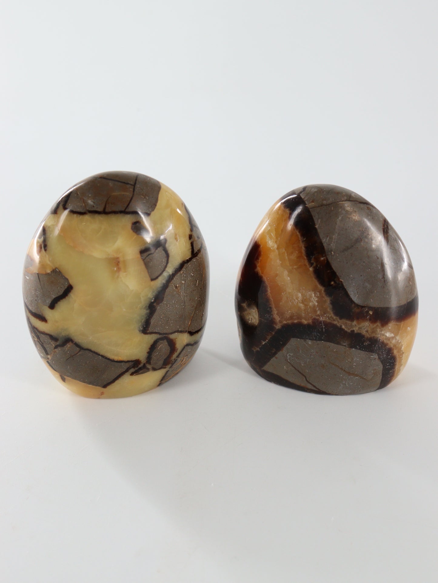 Septarian Freeforms Set of 6 - Expert Wholesale and Supplier of Wholesale Crystals & Bulk Gemstones, []