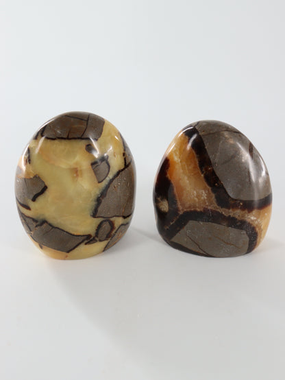 Septarian Freeforms Set of 6 - Expert Wholesale and Supplier of Wholesale Crystals & Bulk Gemstones, []