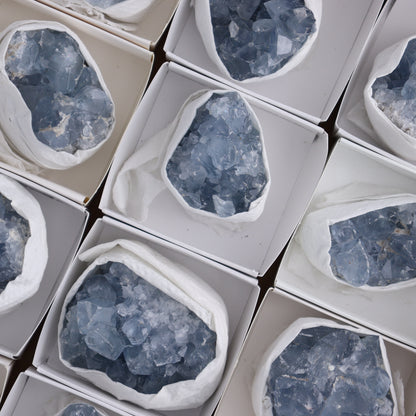 Celestite Cluster of 24 - Expert Wholesale and Supplier of Wholesale Crystals & Bulk Gemstones, ["Celestite","Clusters","Freeform","Madagascar"]