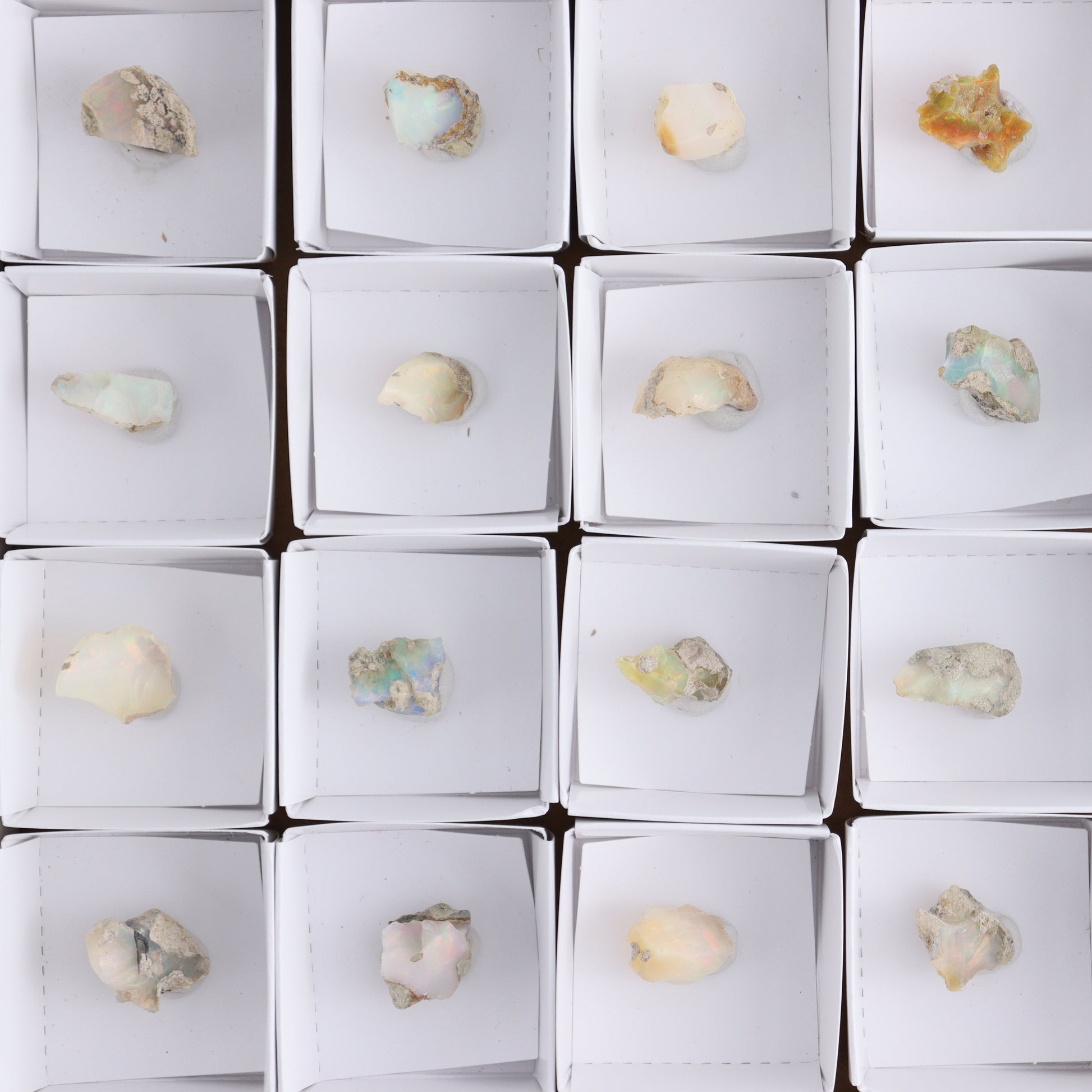 Ethiopian Opal Set of 24 - Expert Wholesale and Supplier of Wholesale Crystals & Bulk Gemstones, ["Ethiopia","ethiopian opal","Opal"]