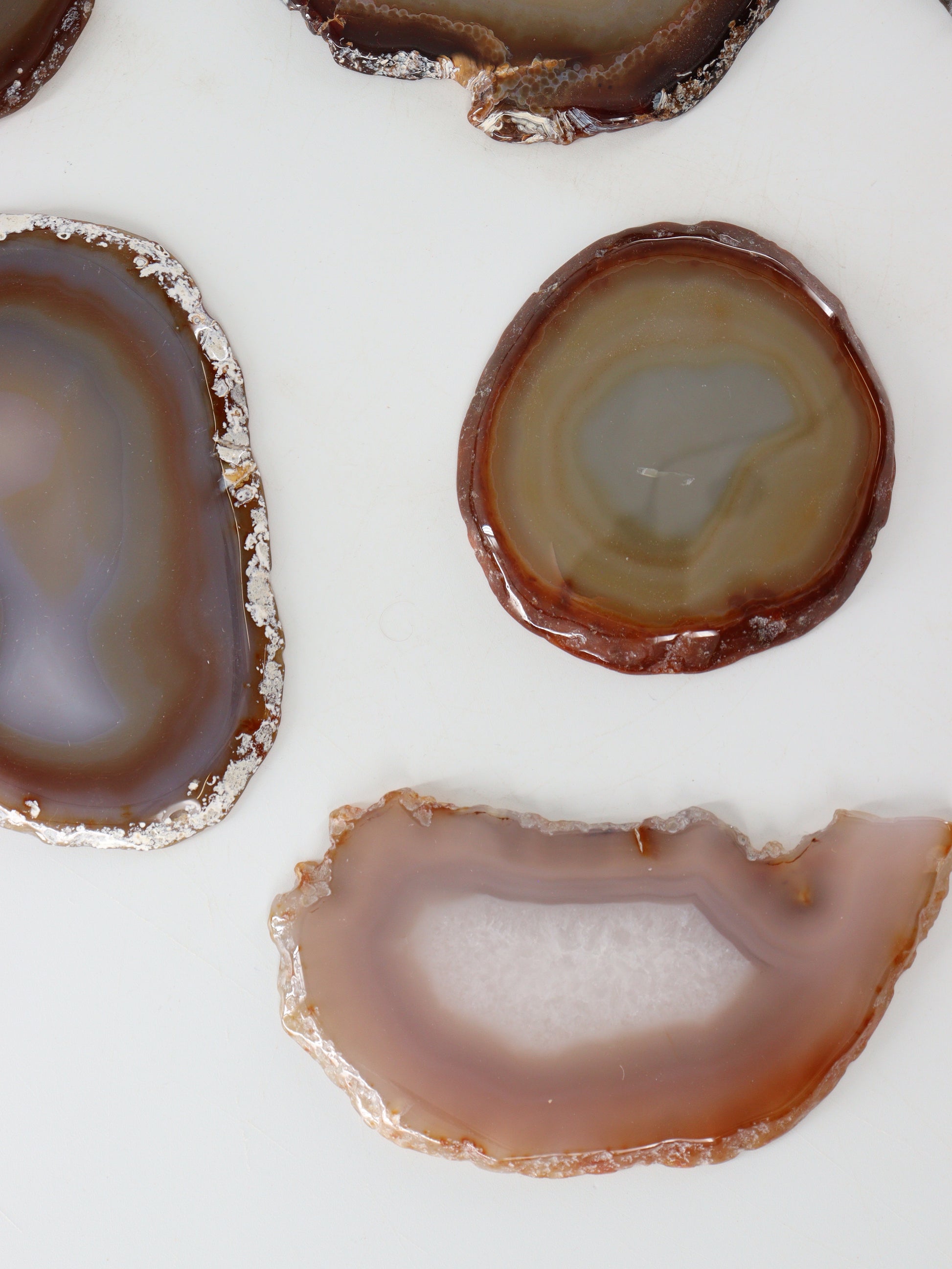 Agate Slices and Slabs Set of 11 - Expert Supplier of Wholesale Crystals & Bulk Gemstones