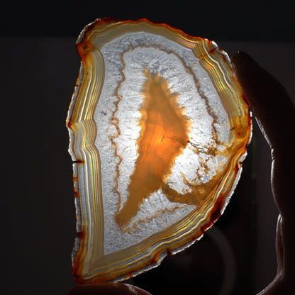 Iris Agate Slices Set of 6 - Expert Wholesale and Supplier of Wholesale Crystals & Bulk Gemstones, ["Agate","Iris Agate","Slices and Slabs"]