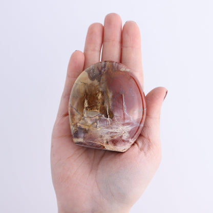Petrified Wood Freeforms Set of 5 - Expert Wholesale and Supplier of Wholesale Crystals & Bulk Gemstones, ["Freeform","Freeforms","Madagascar","Petrified Wood"]