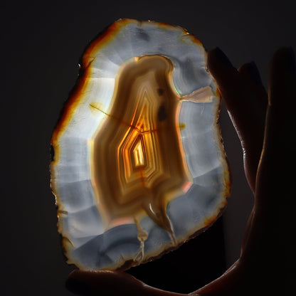 Iris Agate Slices Set of 4 - Expert Wholesale and Supplier of Wholesale Crystals & Bulk Gemstones, ["Agate","Iris Agate","Slices and Slabs"]