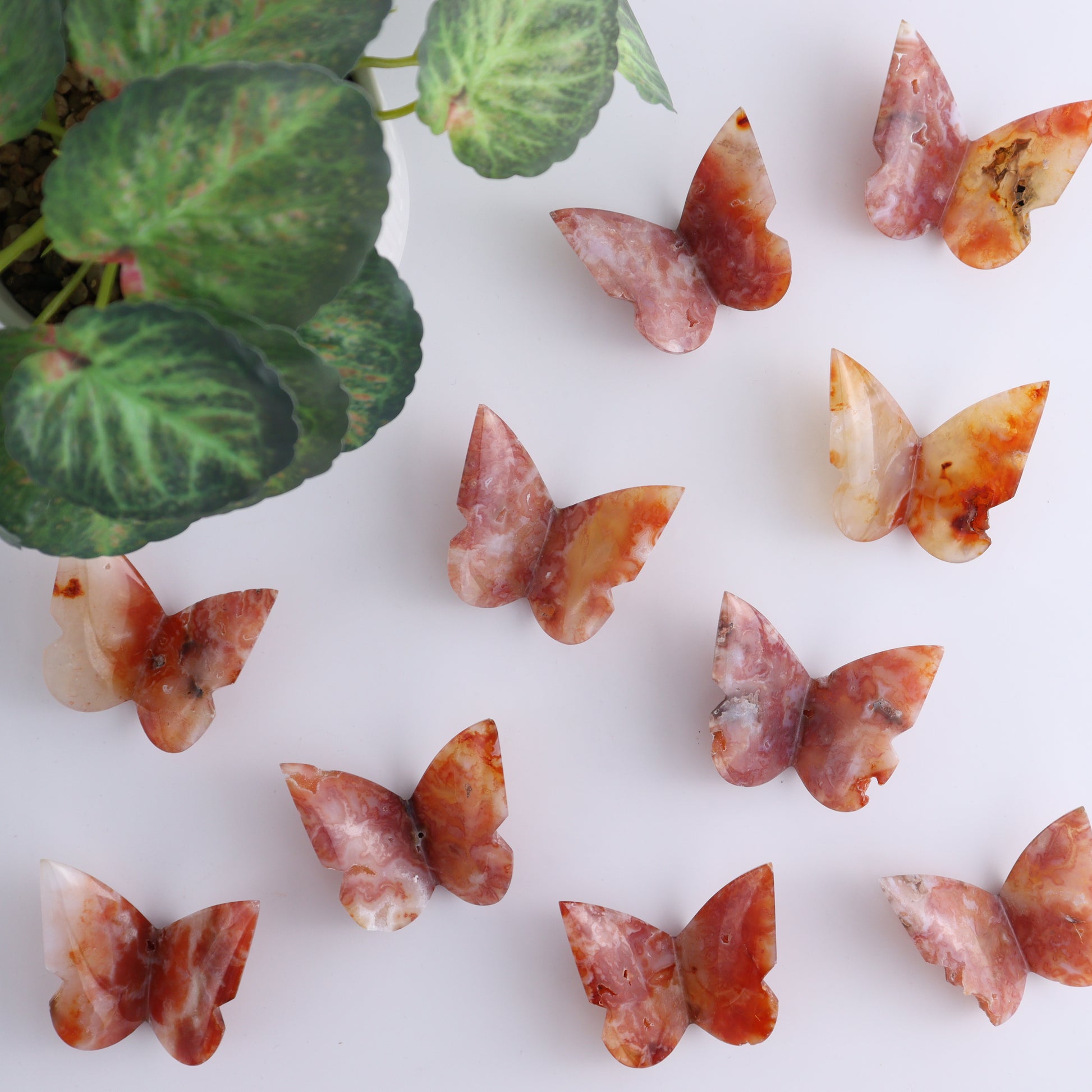 One Carnelian Butterfly - Expert Wholesale and Supplier of Wholesale Crystals & Bulk Gemstones, ["Butterflies","Butterfly","carnelian"]