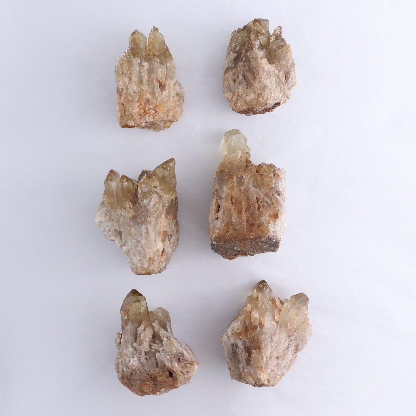 Congo Citrine Set of 6