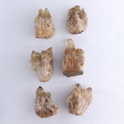 Congo Citrine Set of 6