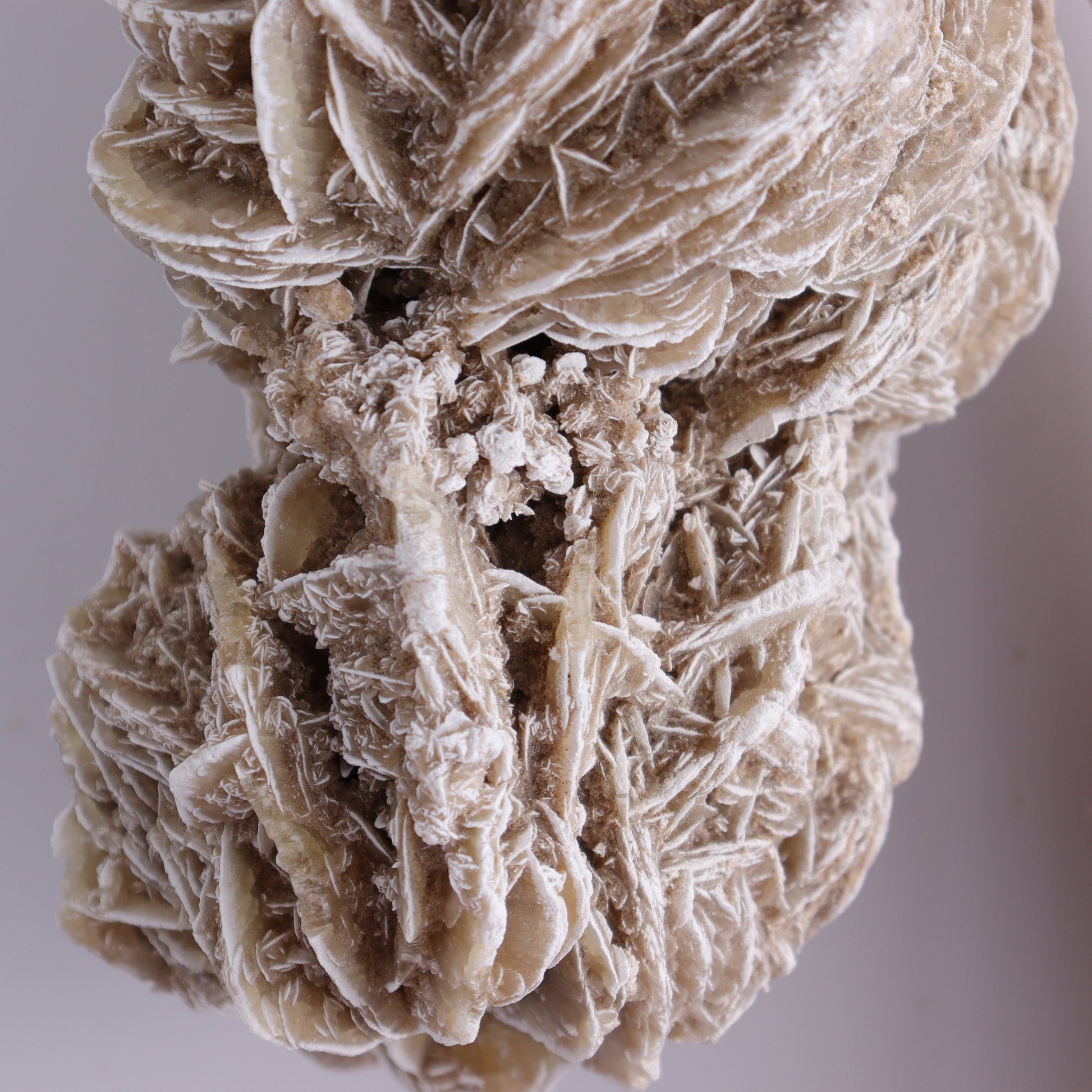 Desert Rose Cluster - Expert Wholesale and Supplier of Wholesale Crystals & Bulk Gemstones, ["Desert Rose","Freeforms"]