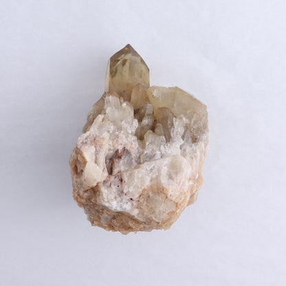 Congo Citrine Set of 6