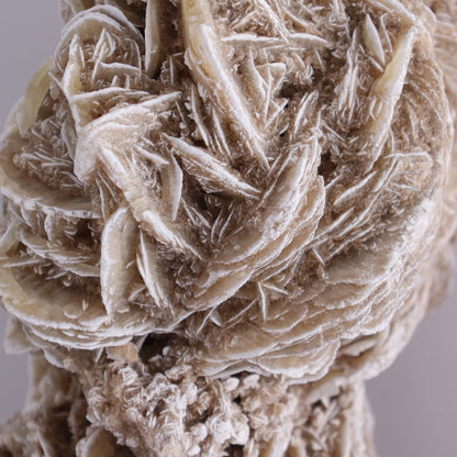 Desert Rose Cluster - Expert Wholesale and Supplier of Wholesale Crystals & Bulk Gemstones, ["Desert Rose","Freeforms"]