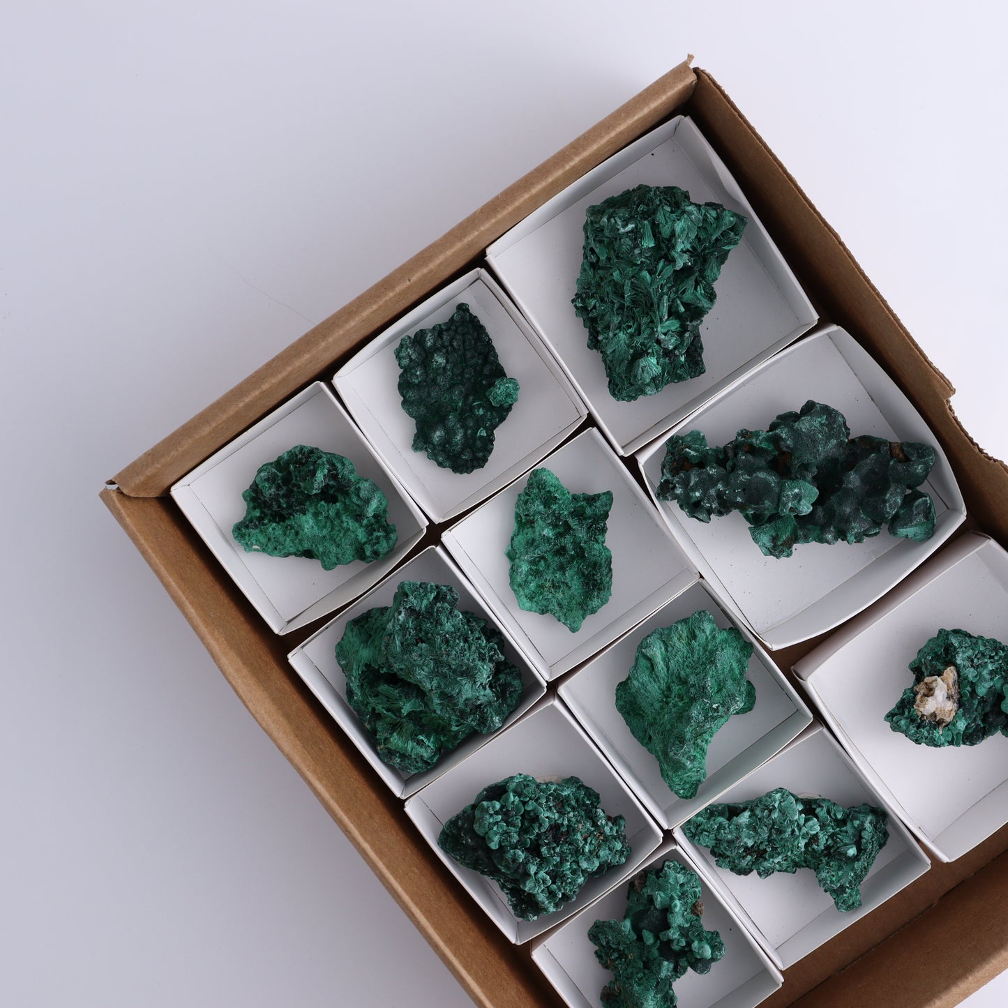 Malachite Freeforms Set of 11 - Expert Wholesale and Supplier of Wholesale Crystals & Bulk Gemstones, ["Freeform","Malachite","South Africa"]