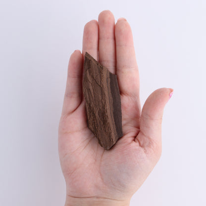 Permineralized Wood Flat of 24 - Expert Wholesale and Supplier of Wholesale Crystals & Bulk Gemstones, ["Flats","Germany","Permineralized Wood"]