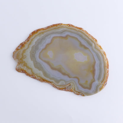 Agate Slices Set of 8 - Expert Wholesale and Supplier of Wholesale Crystals & Bulk Gemstones, ["Agate","Slices and Slabs"]