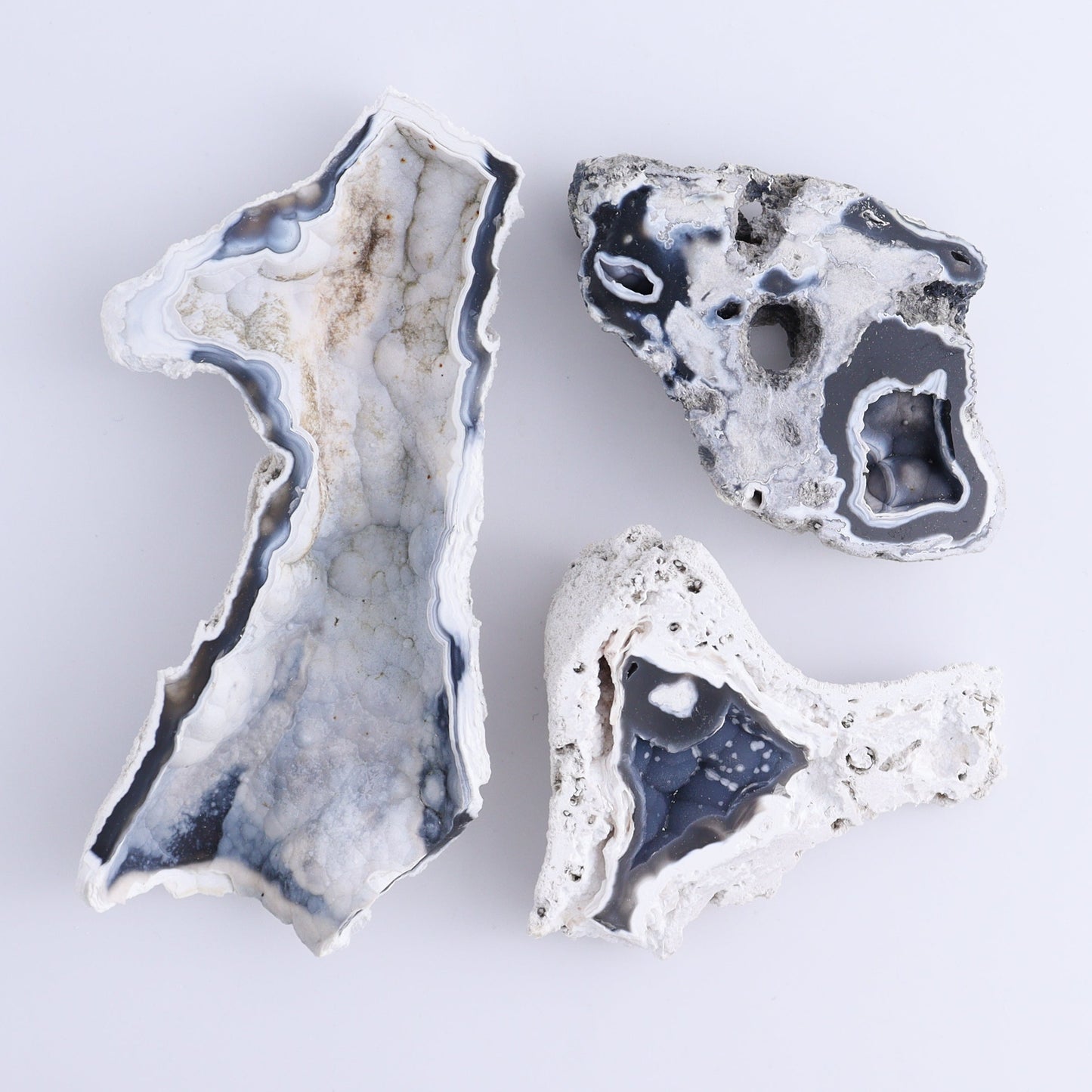 Agatized Coral Flat - Expert Wholesale and Supplier of Wholesale Crystals & Bulk Gemstones, ["Agate","Agatized Coral","Coral","United States"]