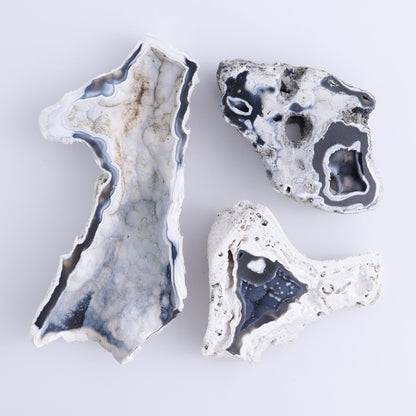 Agatized Coral Flat - Expert Wholesale and Supplier of Wholesale Crystals & Bulk Gemstones, ["Agate","Agatized Coral","Coral","United States"]