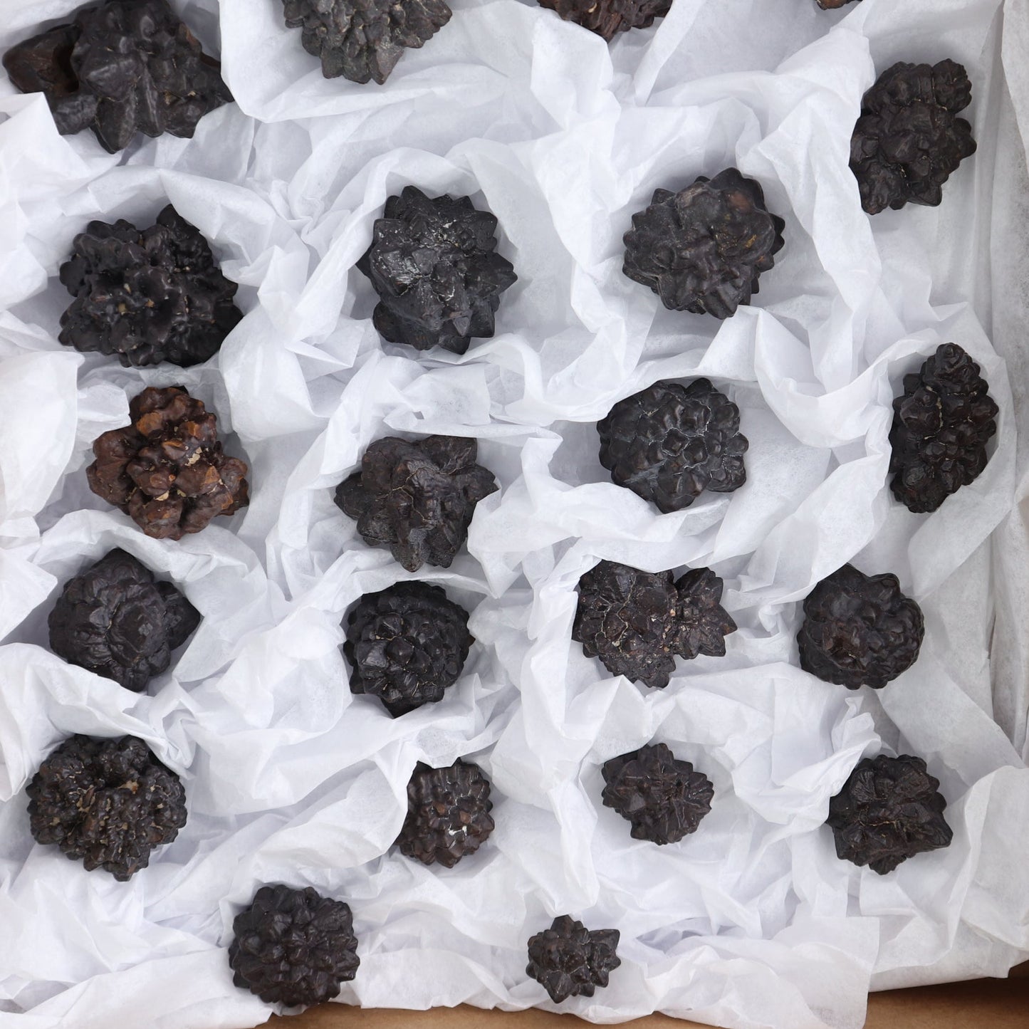 Egyptian Prophecy Stones Flat of 25