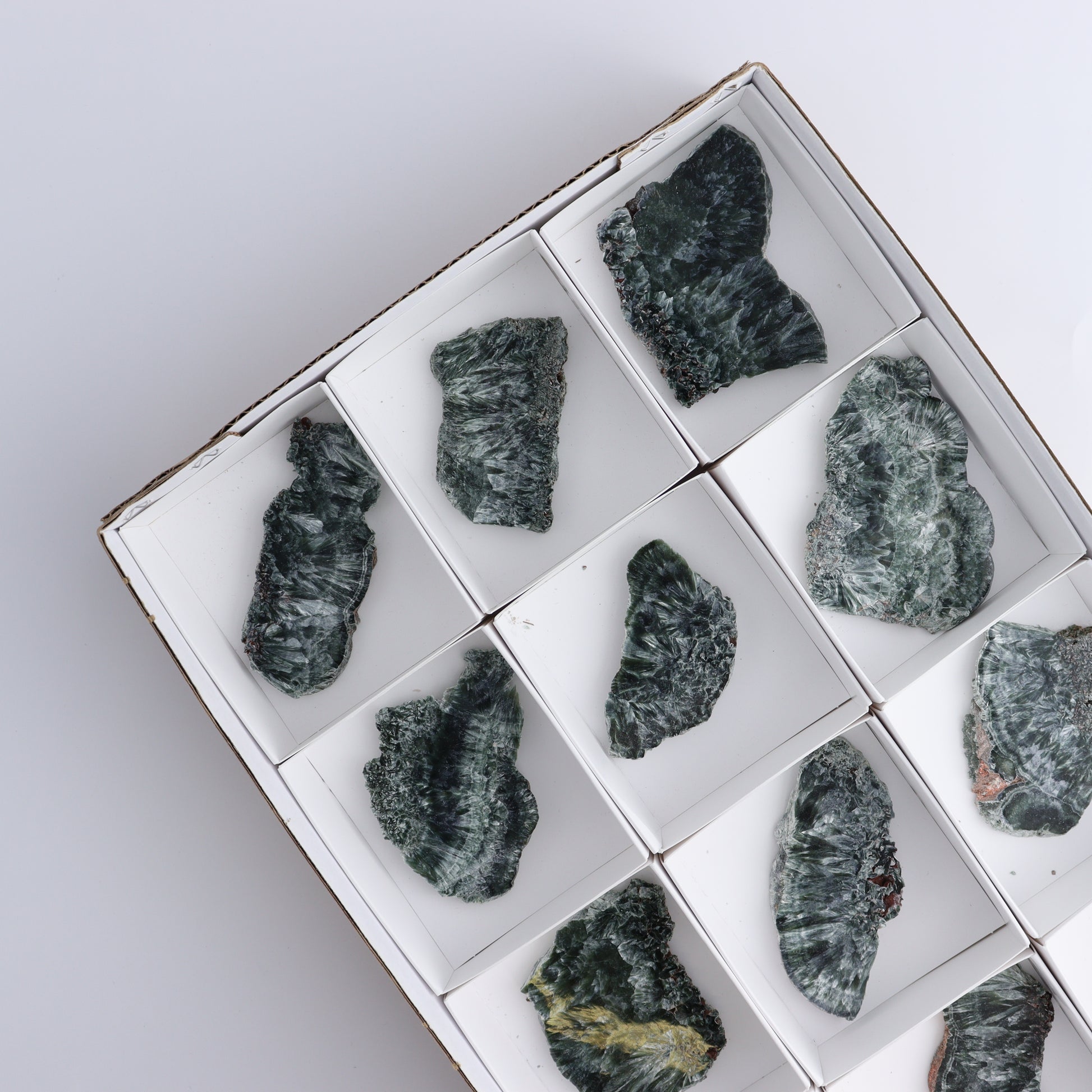 Seraphinite Slices Set of 12 - Expert Wholesale and Supplier of Wholesale Crystals & Bulk Gemstones, ["Seraphinite","Slices and Slabs"]