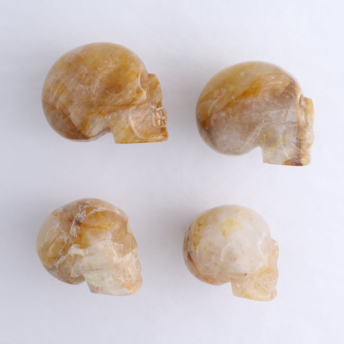 Golden Healer Skulls Set of 4