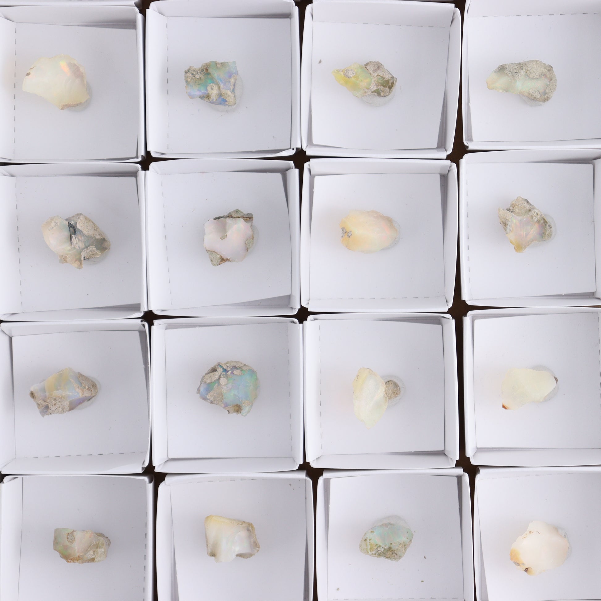 Ethiopian Opal Set of 24 - Expert Wholesale and Supplier of Wholesale Crystals & Bulk Gemstones, ["Ethiopia","ethiopian opal","Opal"]