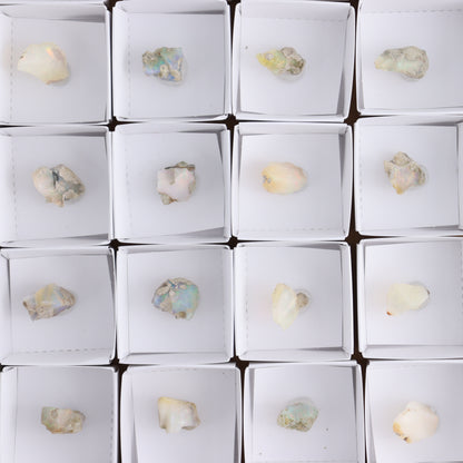 Ethiopian Opal Set of 24 - Expert Wholesale and Supplier of Wholesale Crystals & Bulk Gemstones, ["Ethiopia","ethiopian opal","Opal"]