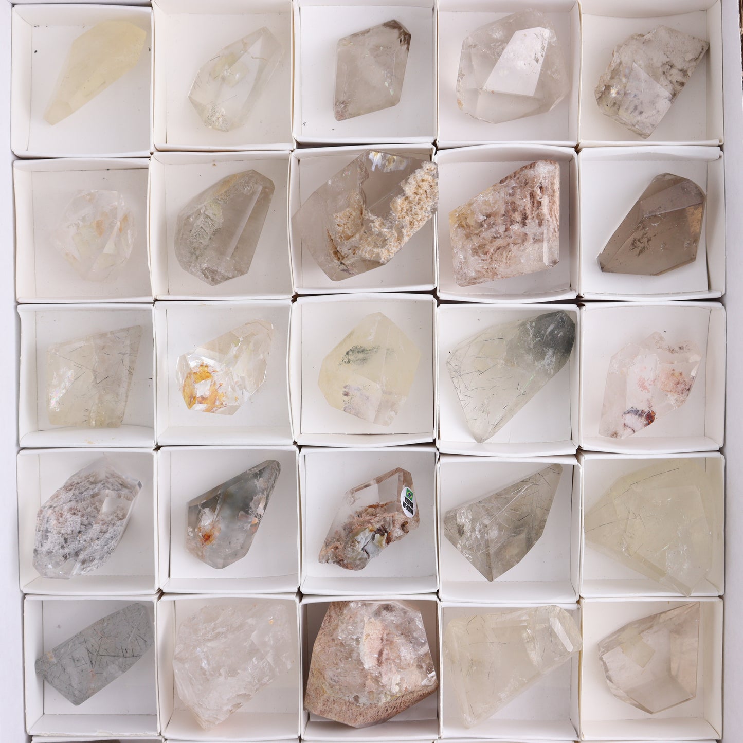 Quartz with Inclusions Feeforms Set of 35