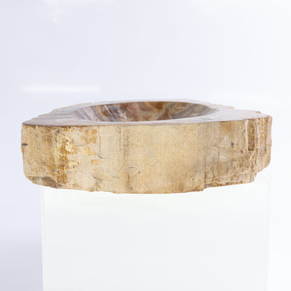 Petrified Wood Bowls Set of 2 - Expert Wholesale and Supplier of Wholesale Crystals & Bulk Gemstones, ["Bowls","Indonesia","Petrified Wood"]