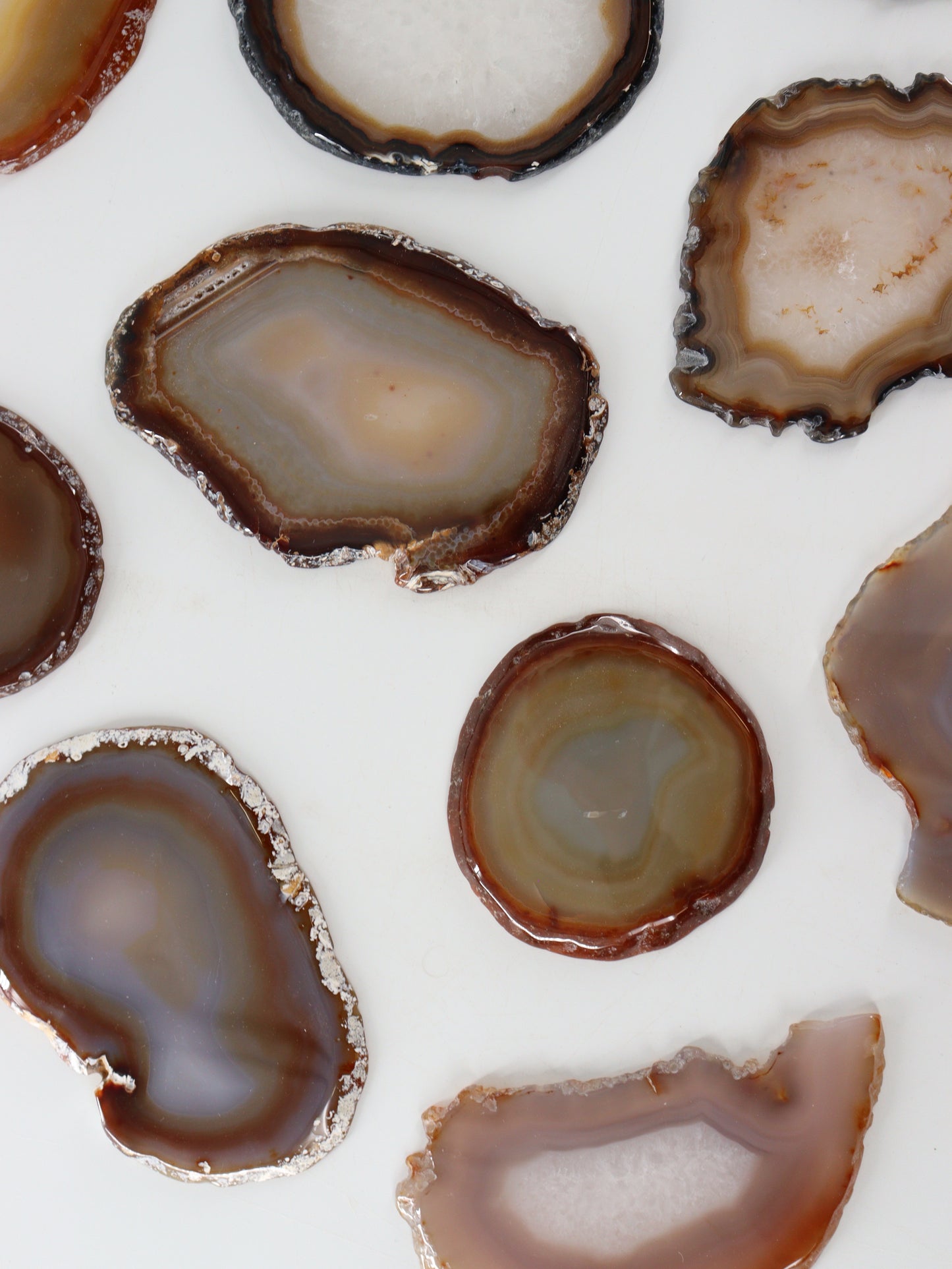 Agate Slices and Slabs Set of 11 - Expert Supplier of Wholesale Crystals & Bulk Gemstones