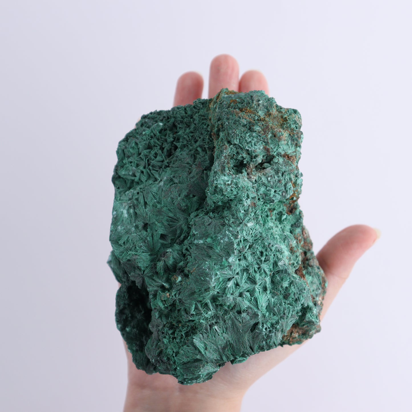 Malachite Freeform Set of 2 - Expert Wholesale and Supplier of Wholesale Crystals & Bulk Gemstones, ["Freeform","Malachite","South Africa"]