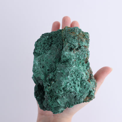 Malachite Freeform Set of 2 - Expert Wholesale and Supplier of Wholesale Crystals & Bulk Gemstones, ["Freeform","Malachite","South Africa"]
