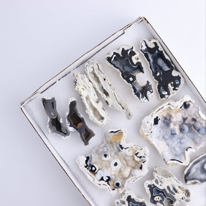 Agatized Coral Flat - Expert Wholesale and Supplier of Wholesale Crystals & Bulk Gemstones, ["Agate","Agatized Coral","Coral","United States"]