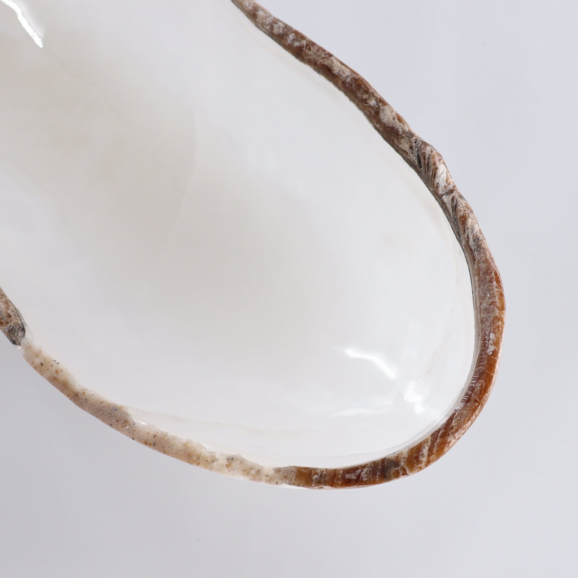 Onyx Canoe Bowl - Expert Wholesale and Supplier of Wholesale Crystals & Bulk Gemstones, ["Bowls","canoe","Mexico","onyx"]