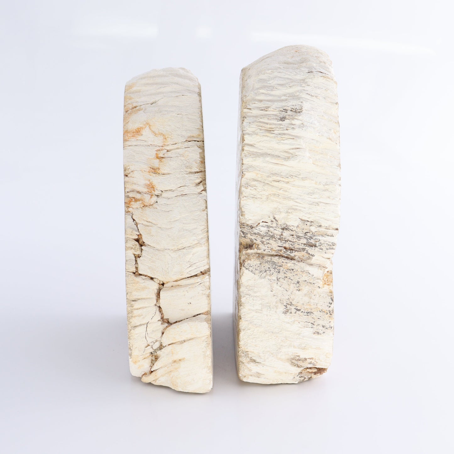Bookends Petrified Wood - Expert Wholesale and Supplier of Wholesale Crystals & Bulk Gemstones, ["Bookends","Indonesia","Petrified Wood"]
