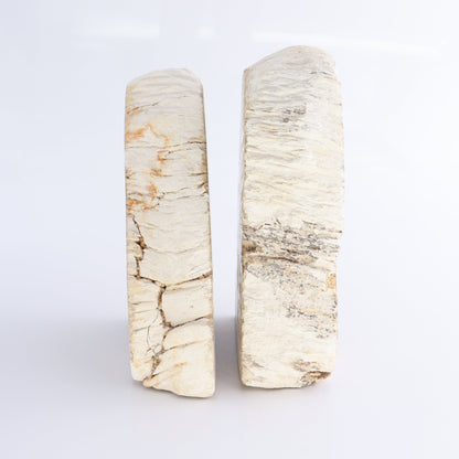Bookends Petrified Wood - Expert Wholesale and Supplier of Wholesale Crystals & Bulk Gemstones, ["Bookends","Indonesia","Petrified Wood"]
