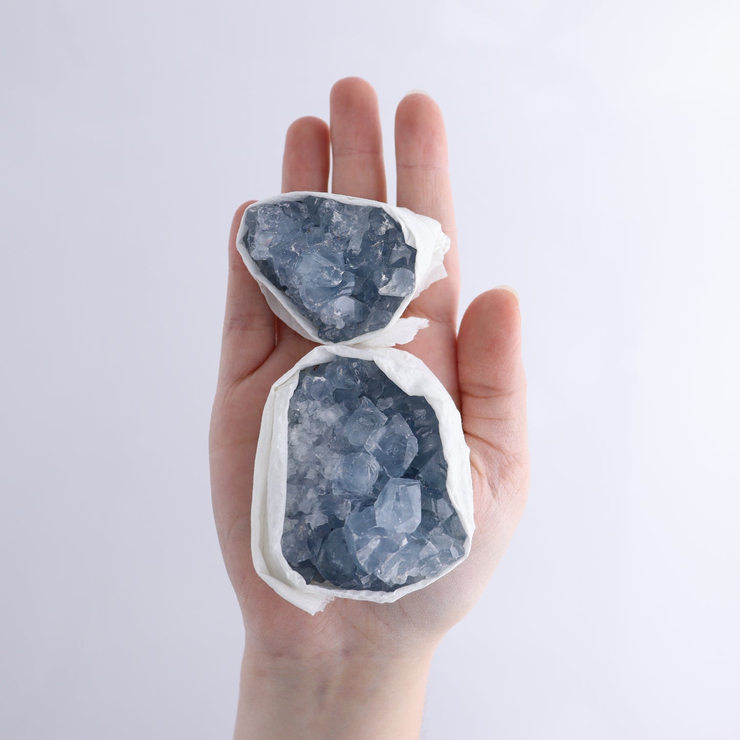Celestite Cluster of 24 - Expert Wholesale and Supplier of Wholesale Crystals & Bulk Gemstones, ["Celestite","Clusters","Freeform","Madagascar"]
