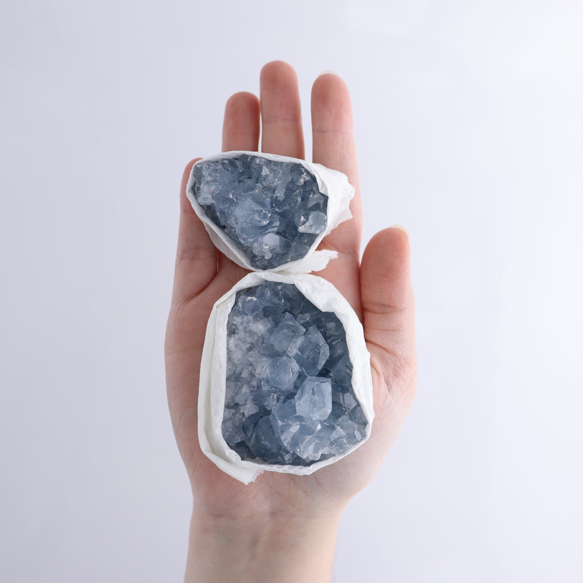 Celestite Cluster of 24 - Expert Wholesale and Supplier of Wholesale Crystals & Bulk Gemstones, ["Celestite","Clusters","Freeform","Madagascar"]