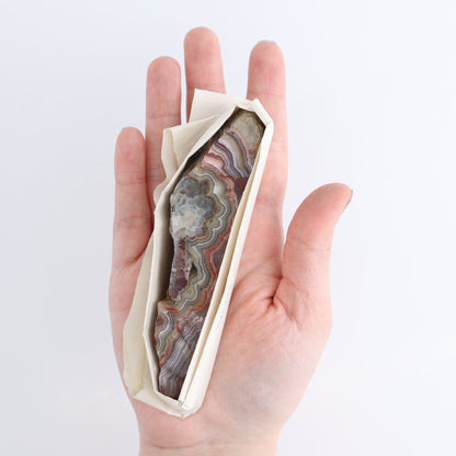 Crazy Lace Agate Flat of 13