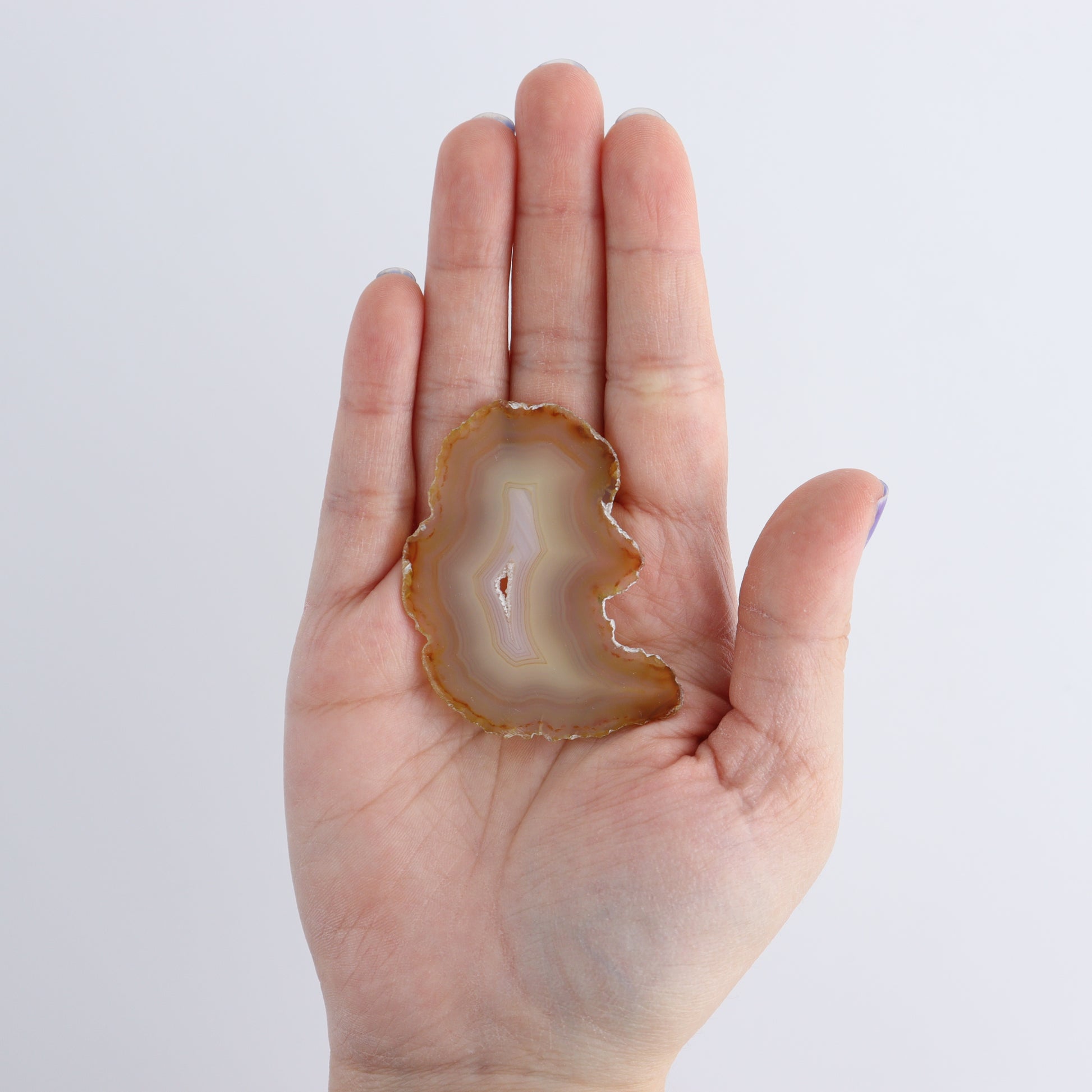 Iris Agate Slices Set of 7 - Expert Wholesale and Supplier of Wholesale Crystals & Bulk Gemstones, ["Agate","Iris Agate","Slices and Slabs"]