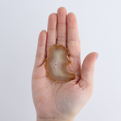 Iris Agate Slices Set of 7 - Expert Wholesale and Supplier of Wholesale Crystals & Bulk Gemstones, ["Agate","Iris Agate","Slices and Slabs"]