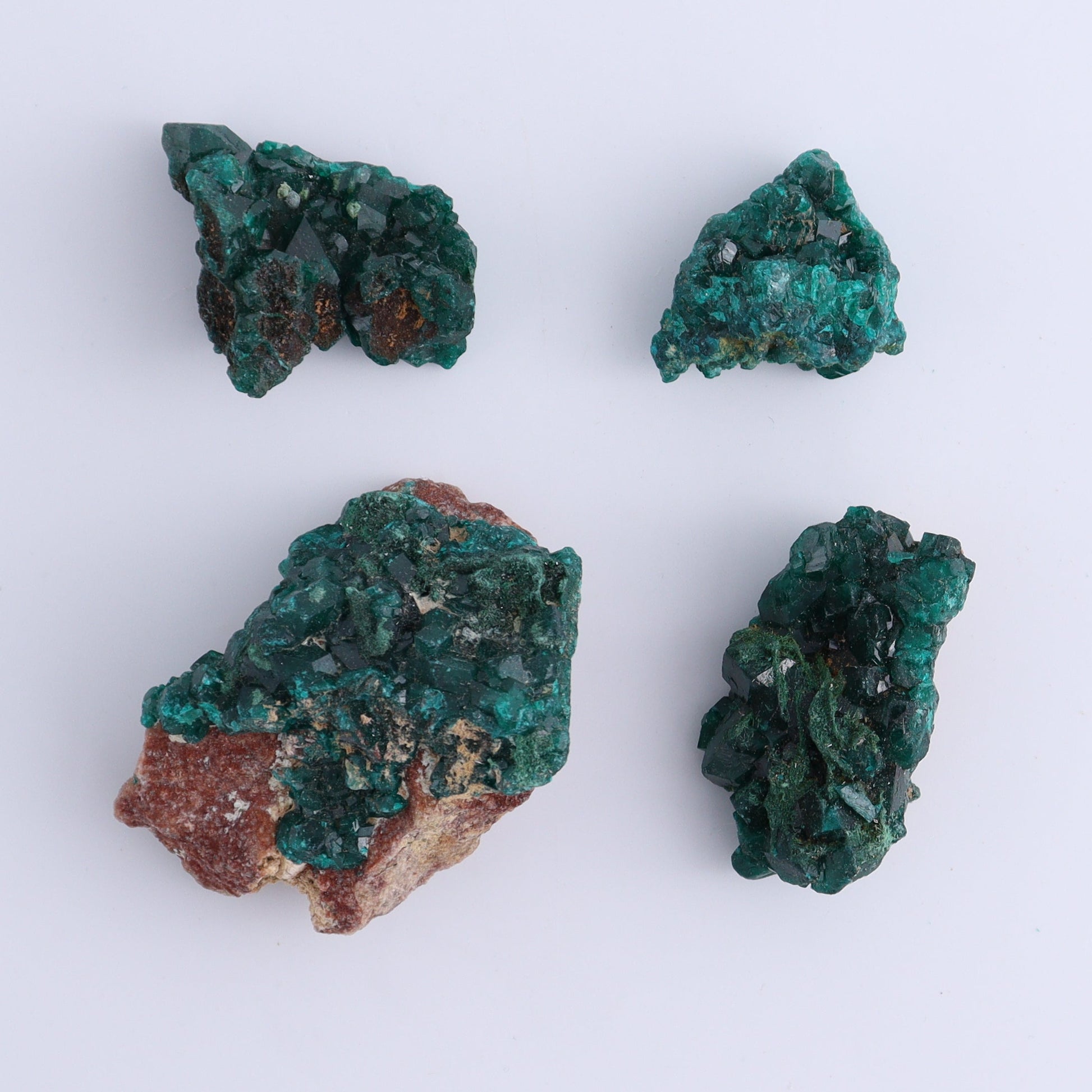 Dioptase Set of 19 - Expert Wholesale and Supplier of Wholesale Crystals & Bulk Gemstones, ["dioptase","Freeform","Freeforms"]