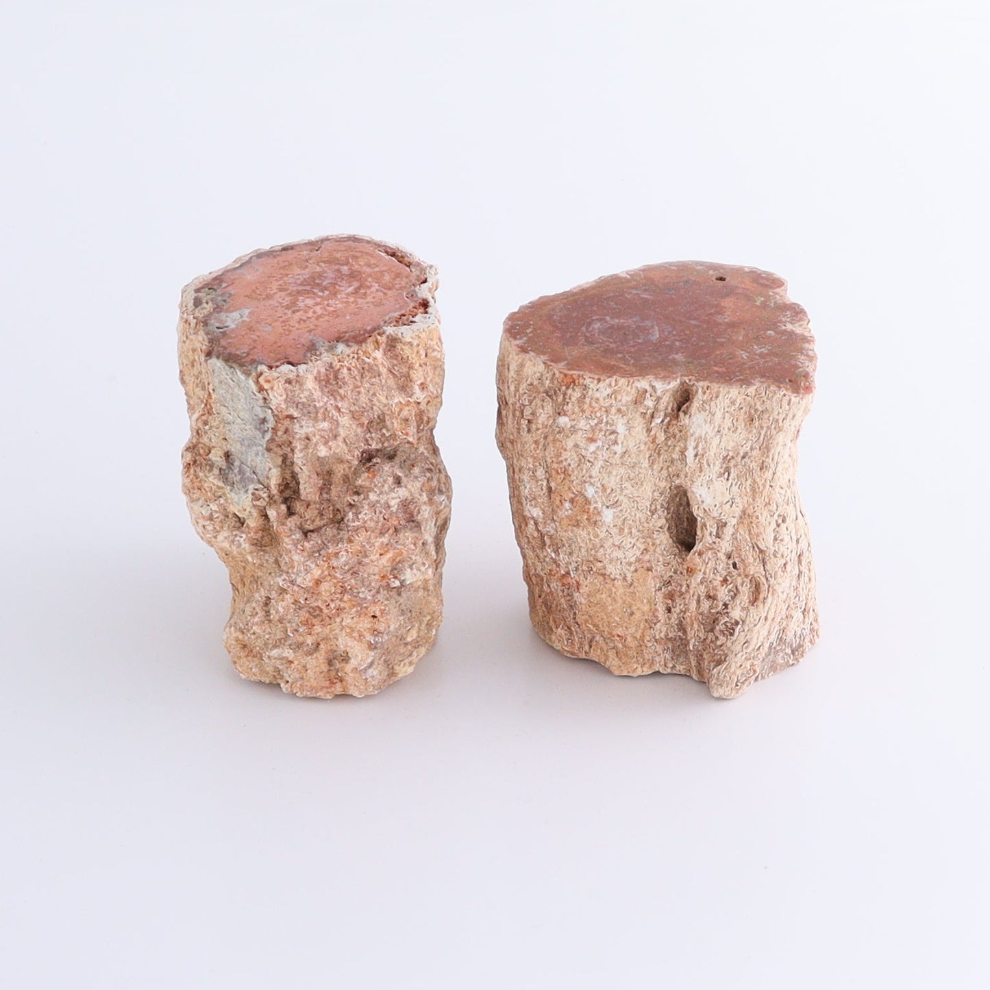 Petrified Wood Cut Bases Set of 8 - Expert Wholesale and Supplier of Wholesale Crystals & Bulk Gemstones, ["Cut Base","Petrified Wood"]