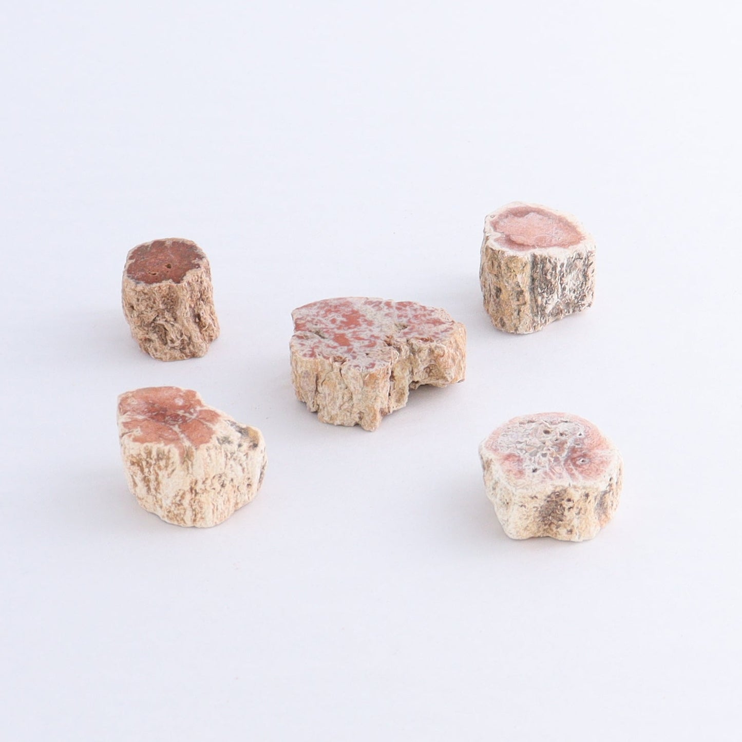 Petrified Wood Cut Bases Set of 30 - Expert Wholesale and Supplier of Wholesale Crystals & Bulk Gemstones, ["Cut Base","Petrified Wood"]