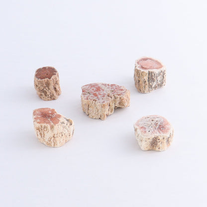 Petrified Wood Cut Bases Set of 30 - Expert Wholesale and Supplier of Wholesale Crystals & Bulk Gemstones, ["Cut Base","Petrified Wood"]