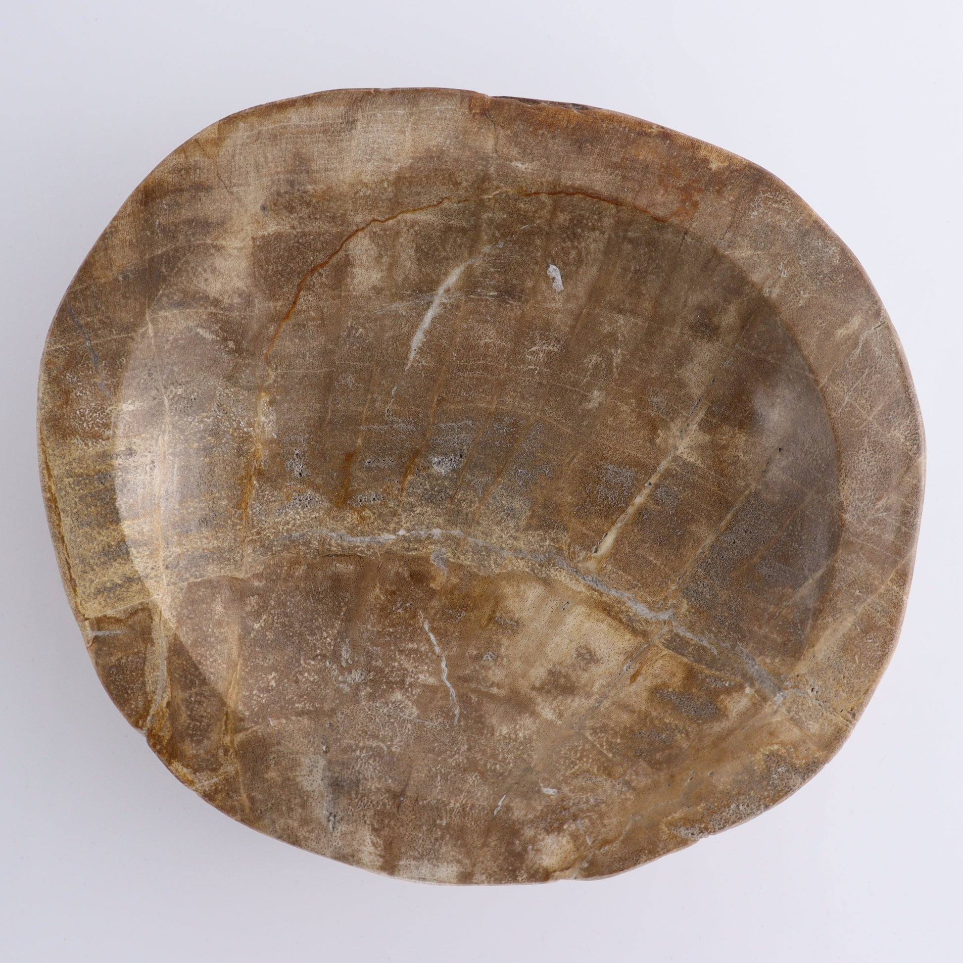 Bowl Petrified Wood - Expert Wholesale and Supplier of Wholesale Crystals & Bulk Gemstones, ["Bowls","Indonesia","Petrified Wood"]