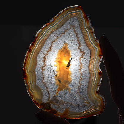 Iris Agate Slices Set of 6 - Expert Wholesale and Supplier of Wholesale Crystals & Bulk Gemstones, ["Agate","Iris Agate","Slices and Slabs"]