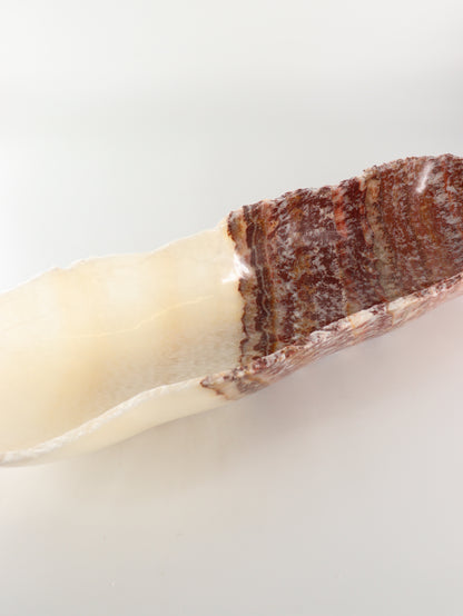 Onyx Canoe Bowl - Expert Wholesale and Supplier of Wholesale Crystals & Bulk Gemstones, []