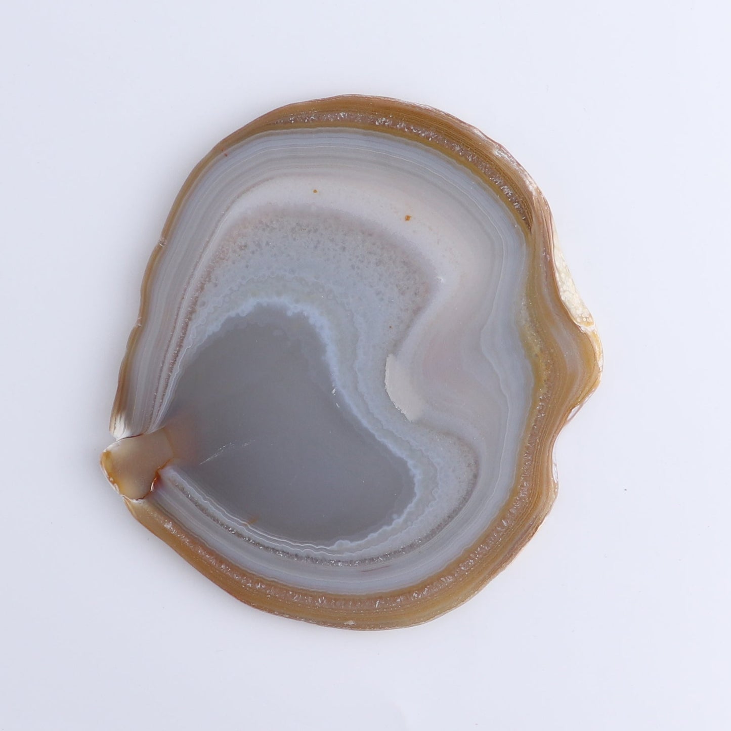Agate Slices Set of 8 - Expert Wholesale and Supplier of Wholesale Crystals & Bulk Gemstones, ["Agate","Slices and Slabs"]
