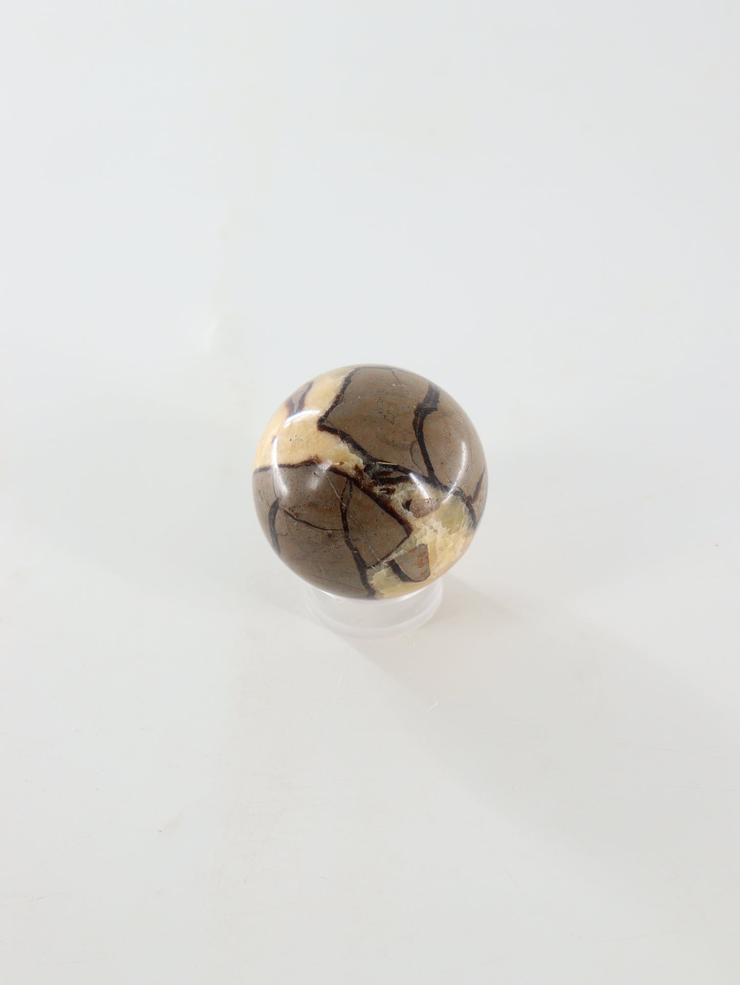 Septarian Spheres Set of 6 - Expert Supplier of Wholesale Crystals & Bulk Gemstones